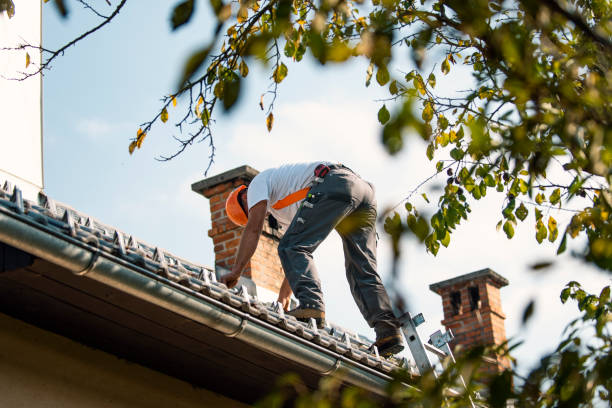 Professional Roofing Contractor in Earlham, IA